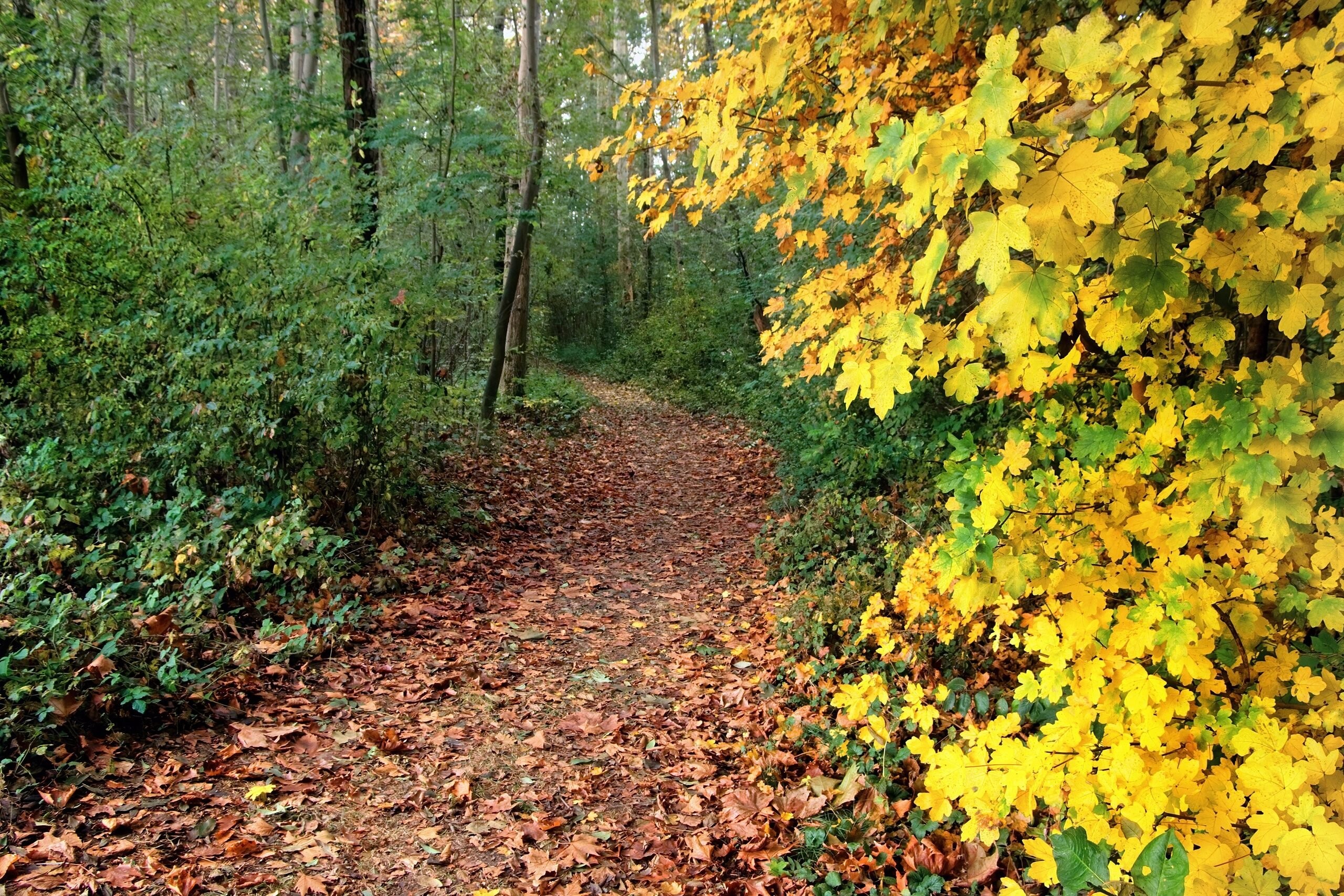 Besthmenerberg