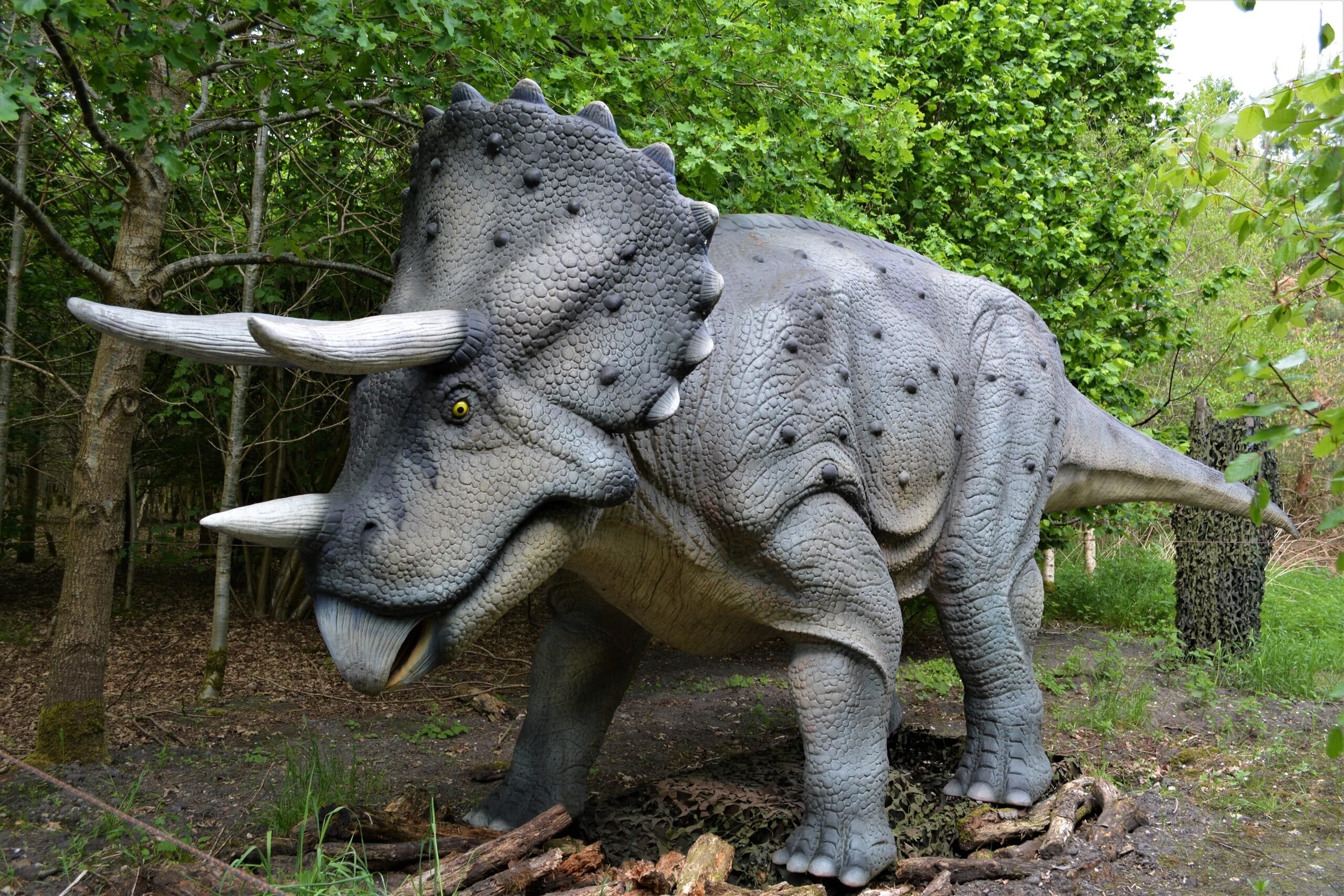 Dinoland