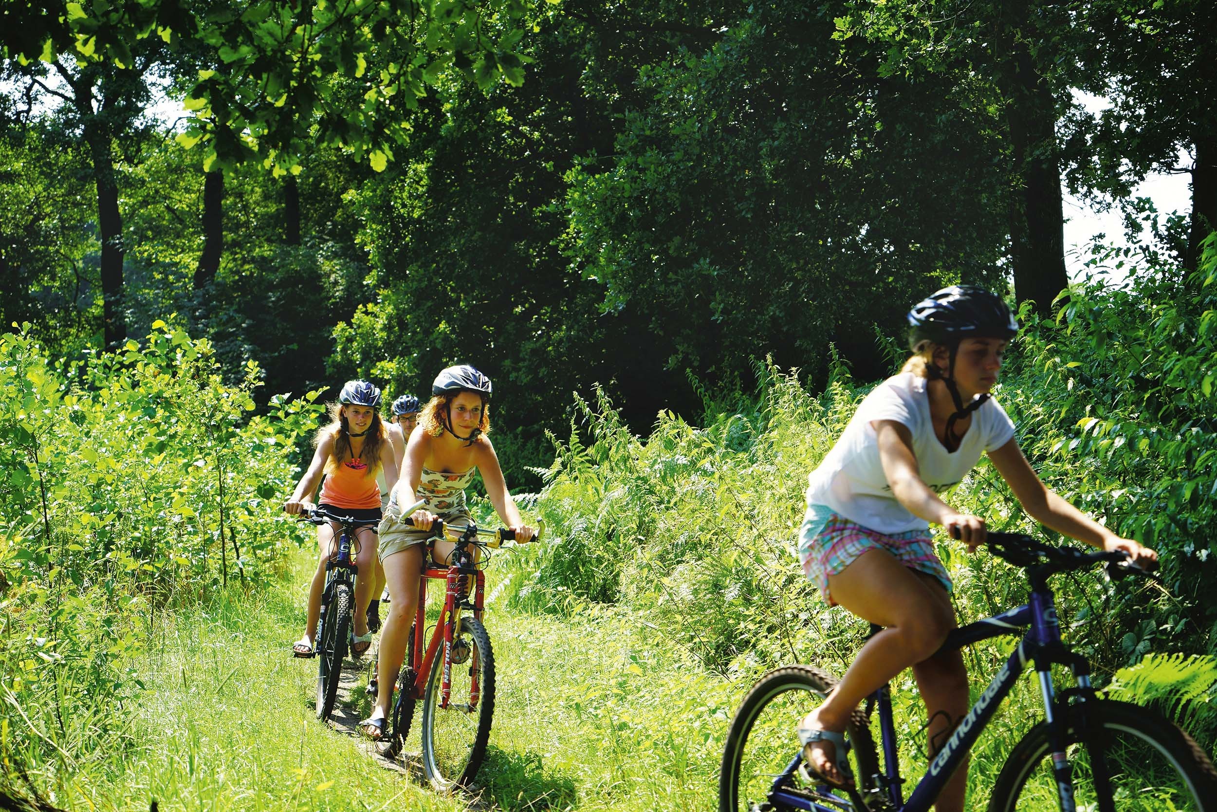 Fietsverhuur