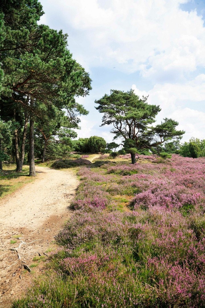 Natuur
