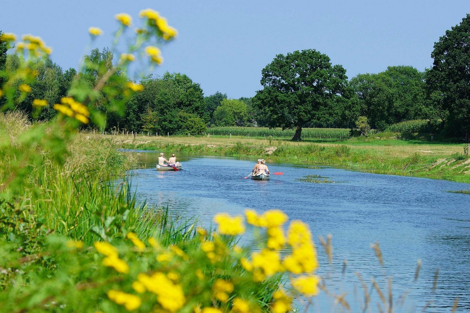 Omgeving camping bergzicht 20