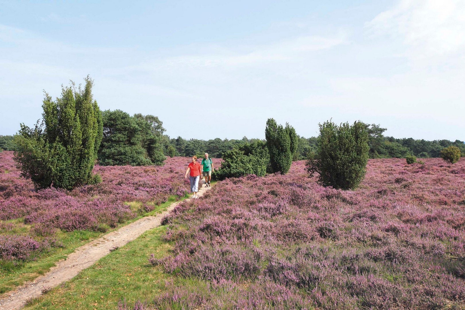 Omgeving camping bergzicht 4