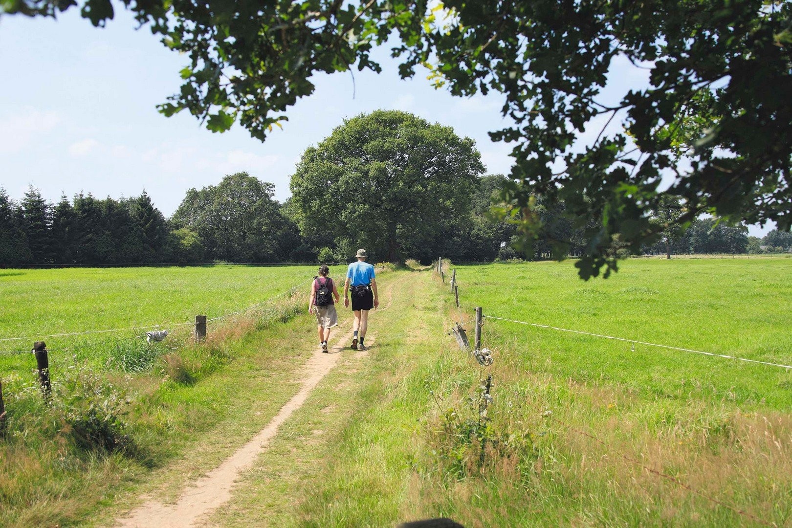 Fietsen en wandelen