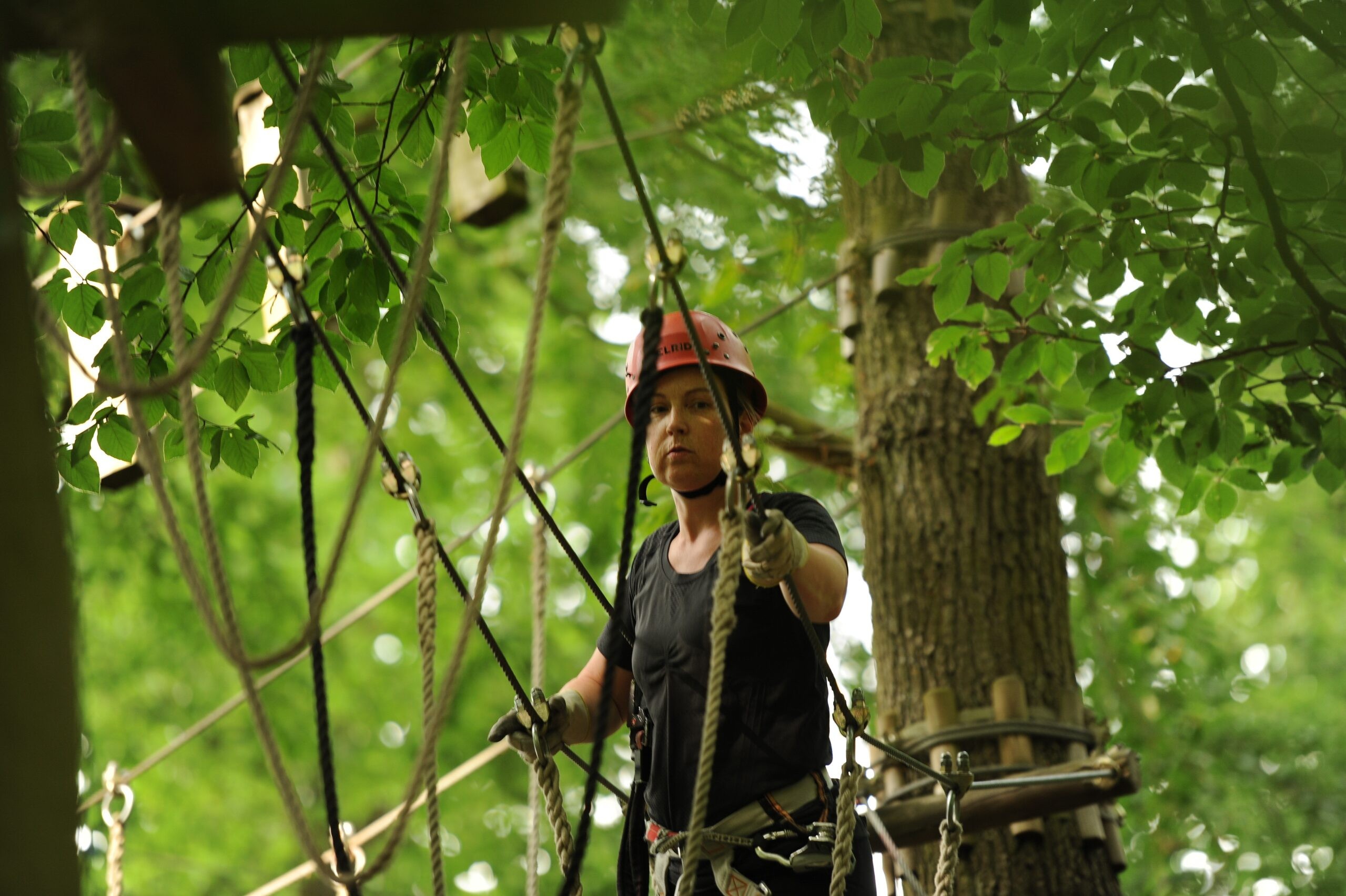 Outdoor Ommen
